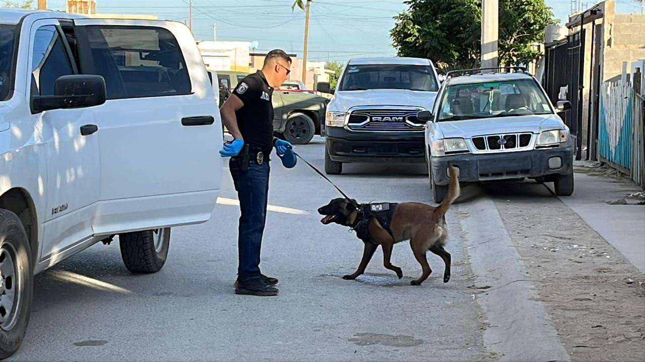 Localizan dos cuerpos enterrados en patio de casa en Urbivilla del Cedro 2