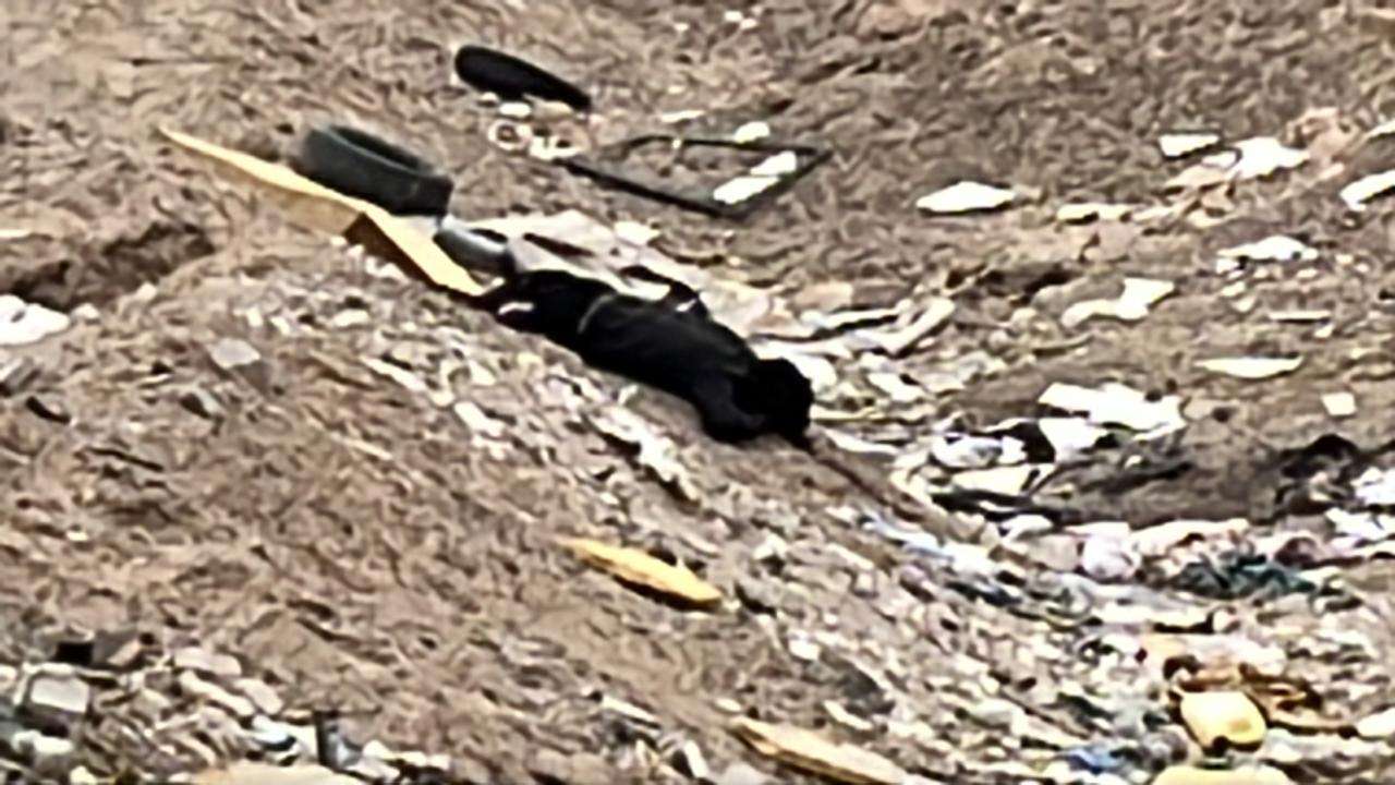 Asesinan a hombre y dejan un herido en brecha frente a panteón