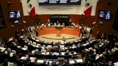 Descarta Senado juicio político contra Maru; dejan caso en manos de FGR 