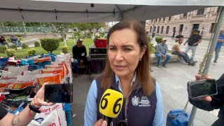 Van más de mil procesos por descuido de mascotas en Chihuahua