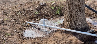 Concluye segunda etapa de sistema de riego en la Huerta Legarreta 