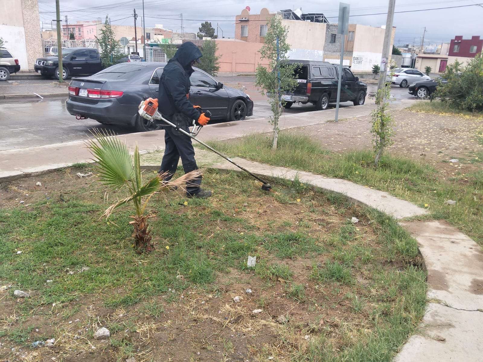 Realizan labores de mantenimiento en parque de Horizontes del Sur
