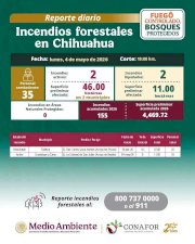 Combaten dos incendios forestales en Balleza y Guadalupe y Calvo