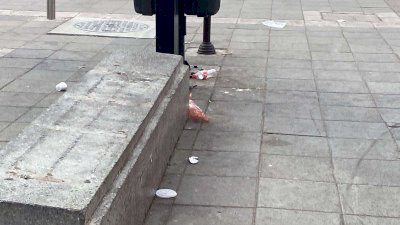 Vuelve la basura a invadir las calles Vicente Guerrero y Libertad