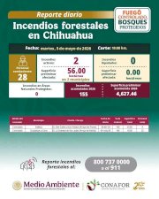 Logran controlar dos incendios forestales en la Sierra