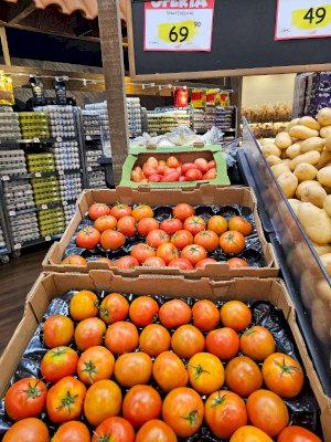 Alcanza el precio del tomate hasta los $70 por kilo