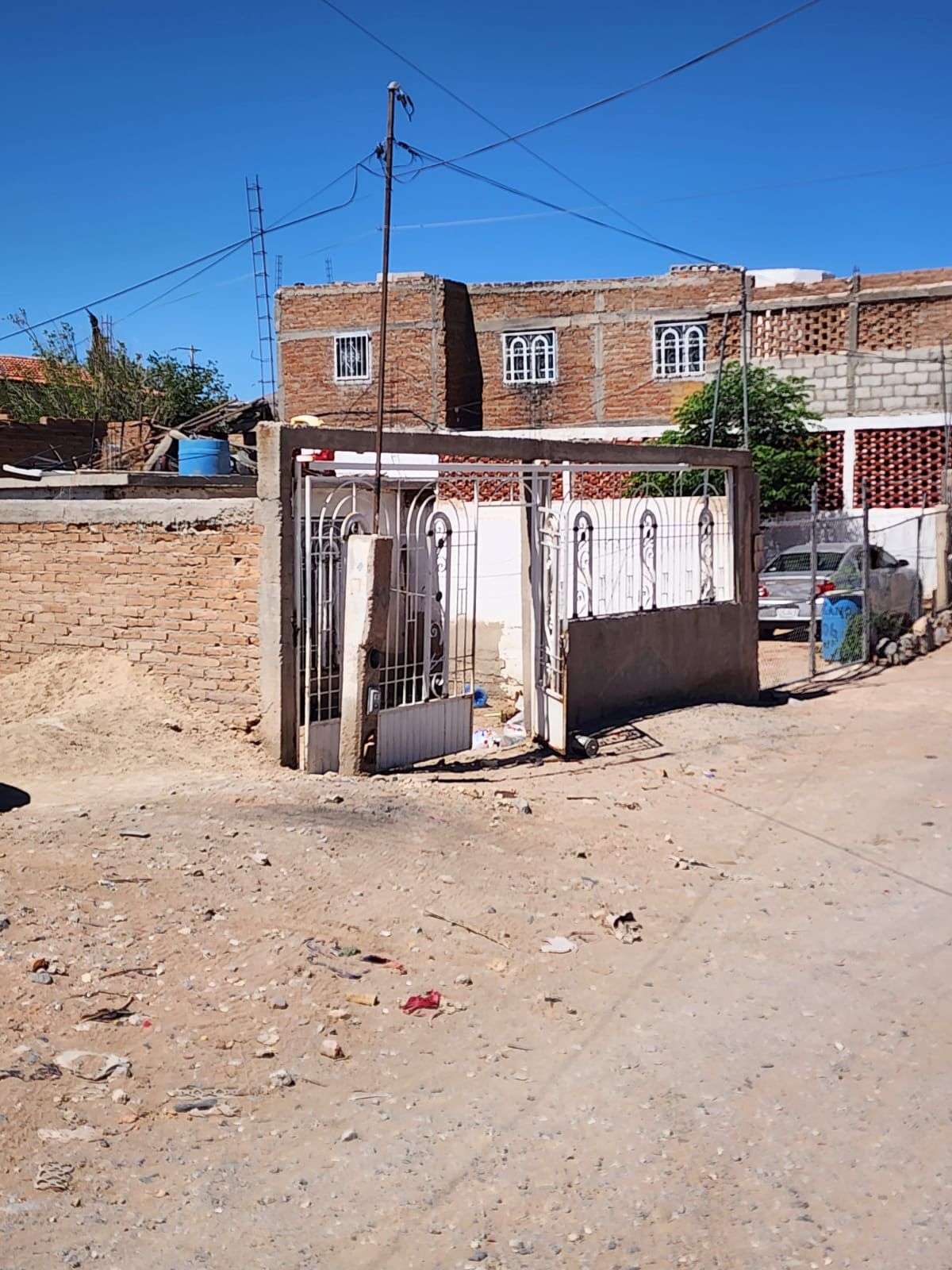 Mueren menor y mujer por presunta rickettsiosis 