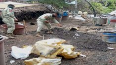 Aseguraron 50 toneladas de precursores en narcolaboratorio: FGR 