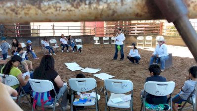 Realizan Encuentro Psicosocial de Equinoterapia para víctimas 