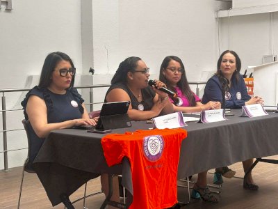 Interponen amparo contra Congreso por omisión legal sobre violencia vicaria