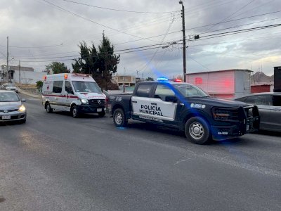 Atacan perros Pitbull a menor de 12 años en la Santa Rosa