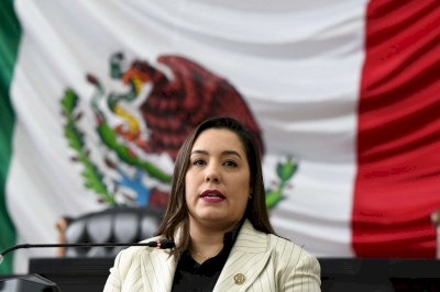 Busca PAN regular licencia digital como documento oficial en el estado