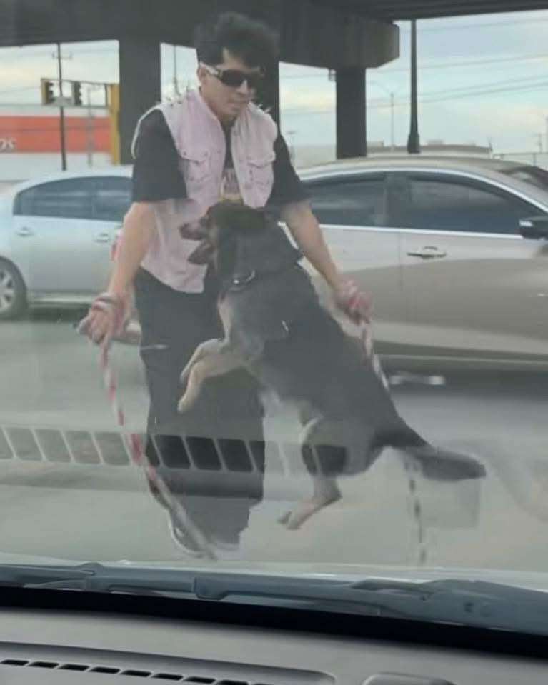 Joven y su perro conquistan redes sociales con show en semáforos 