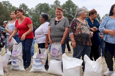 Fortalece Spyci producción agrícola y alimentaria en Madera 