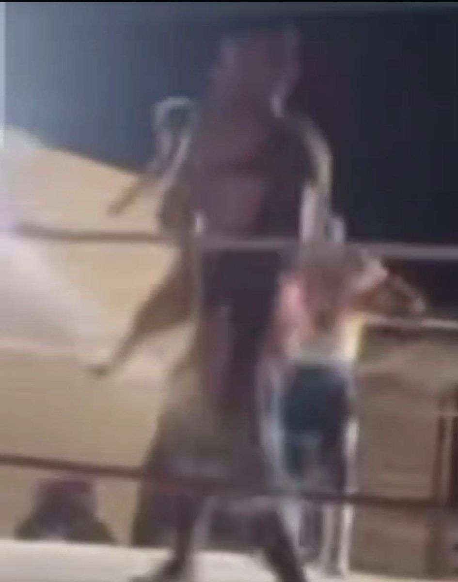 Multarán a involucrados en maltrato animal durante función de lucha libre