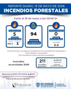 Alcanza Chihuahua 211 incendios forestales en lo que va del año
