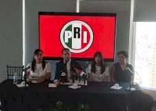 Proponen cartilla de neurodesarrollo infantil como documento oficial de salud