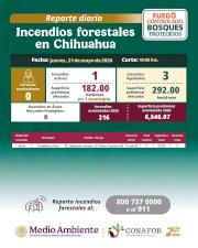 Afecta incendio forestal activo 182 hectáreas en Guadalupe y Calvo
