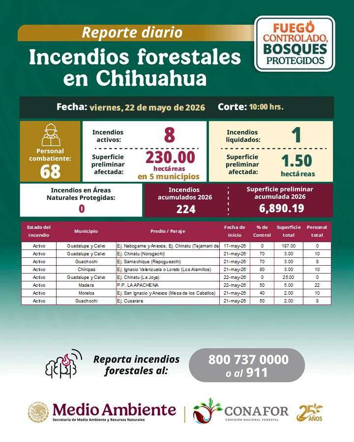 Combaten brigadistas ocho incendios forestales activos en la Sierra