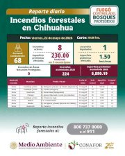 Combaten brigadistas ocho incendios forestales activos en la Sierra