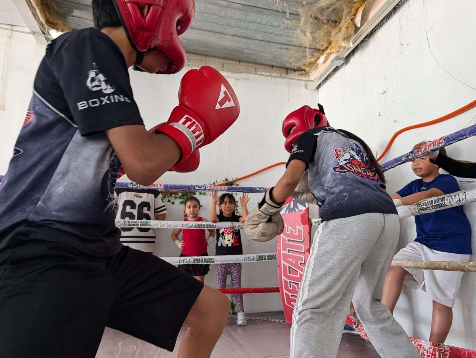 Participan familias juarenses en clase comunitaria de box