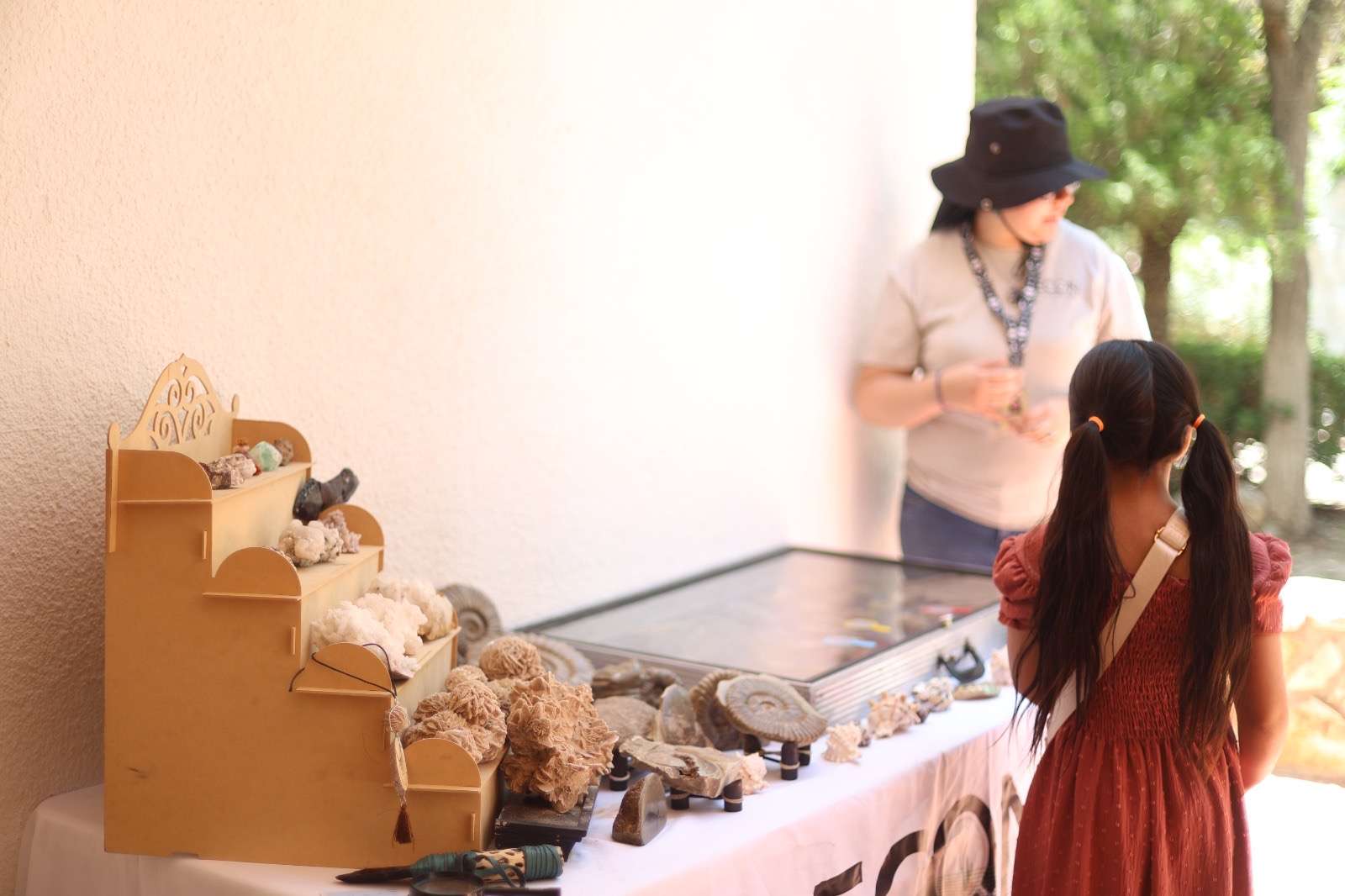Realizan actividades sobre fósiles y evolución en El Chamizal