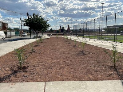 Realizan forestación de 100 árboles en el Polideportivo Luis H. Álvarez