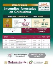 Reporta Conafor cinco incendios forestales activos en la Sierra