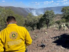 Reportan 9 incendios forestales activos en Chihuahua