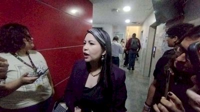 No hay presiones en bancada del PAN: La China Frías 