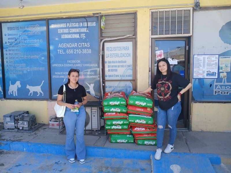 Donan estudiantes de UACJ 1.5 toneladas de alimento a refugios de animales 