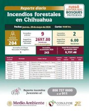 Arrasan incendios más de 9 mil 700 hectáreas en Chihuahua