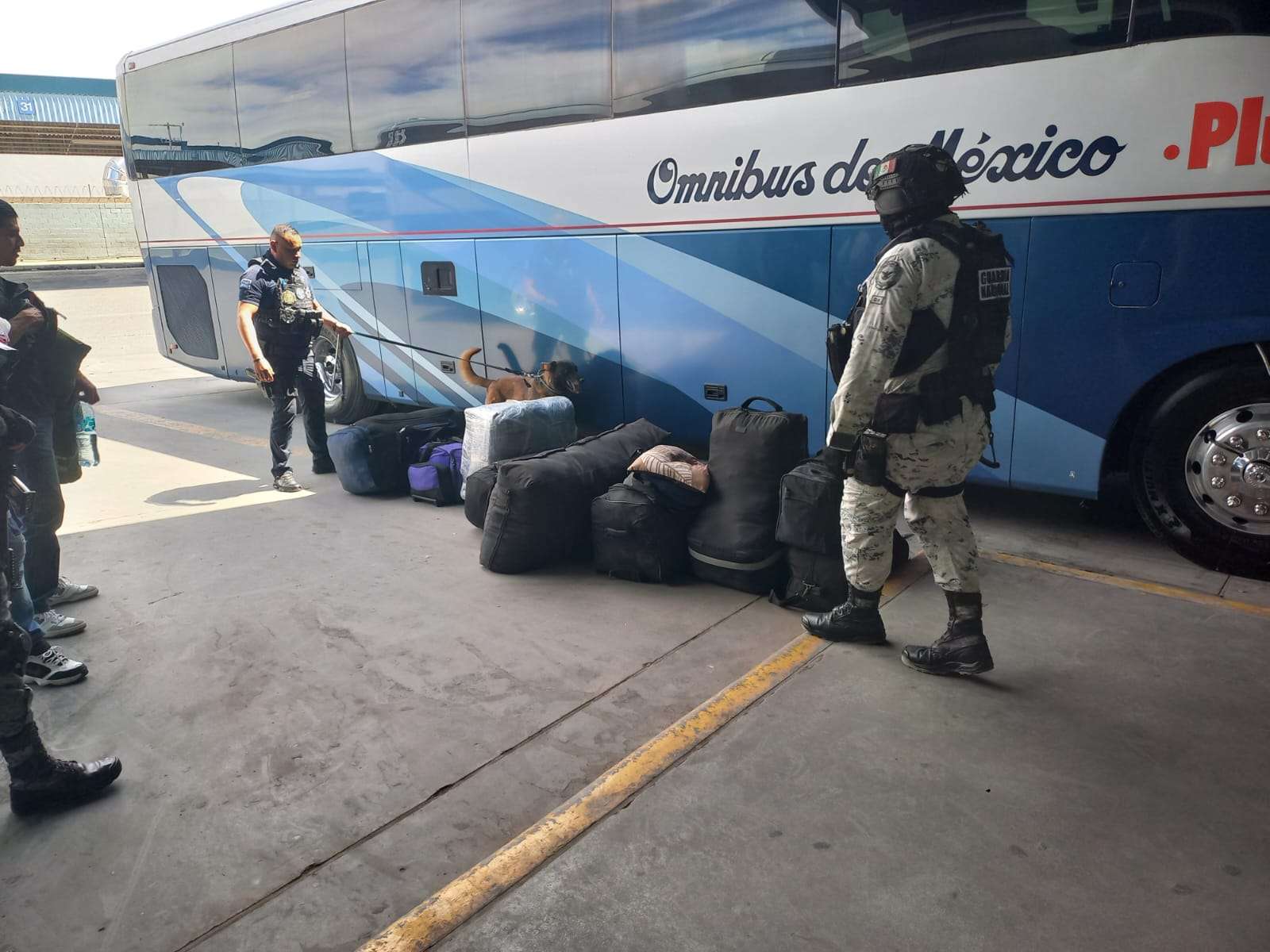 Realizan Policía Municipal y Guardia Nacional revisiones en Central Camionera
