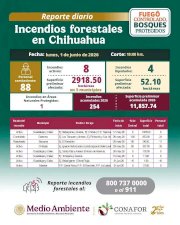 Registra Chihuahua ocho incendios forestales activos en la Sierra 