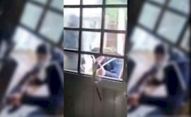 Video: Secuestra grupo armado a periodista en Veracruz 
