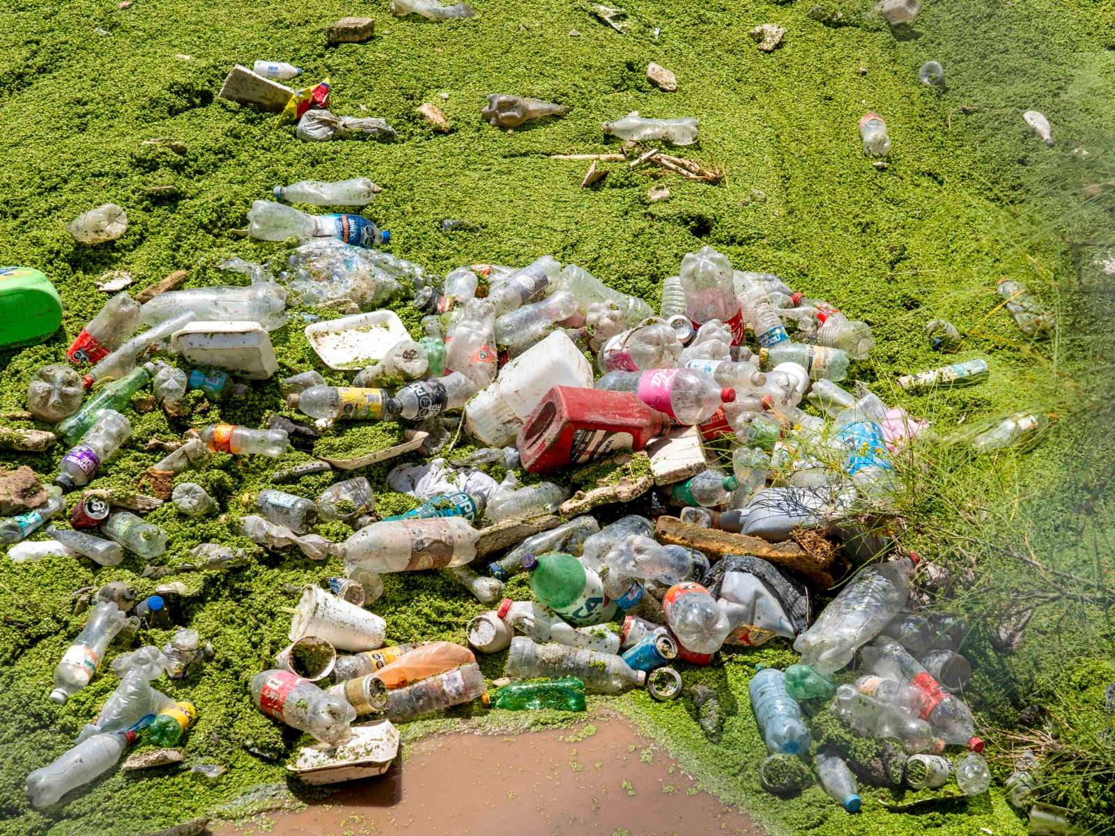Realizan limpieza en la Acequia Madre para retirar obstrucciones