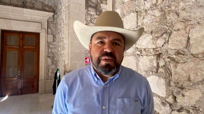 Refuerza Chihuahua medidas contra gusano barrenador: Mauro Parada