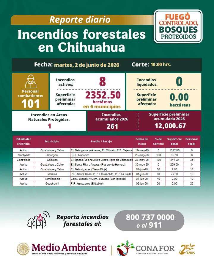 Afectan incendios forestales 12 mil hectáreas en la zona serrana 