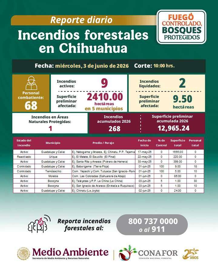 Combaten brigadistas nueve incendios forestales en el estado