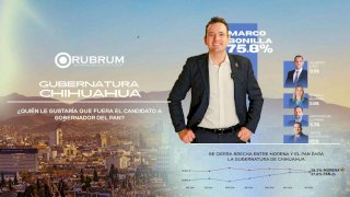 Marco Bonilla se consolida como favorito del PAN para la gubernatura