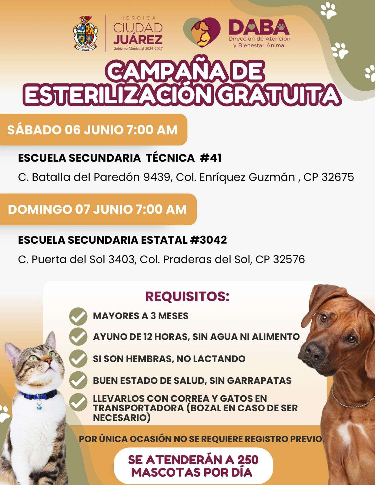 Esterilizarán mascotas gratis en la colonia Enriquez Guzmán