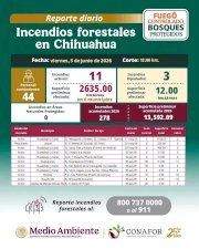 Combaten 43 brigadistas incendios en seis municipios del estado
