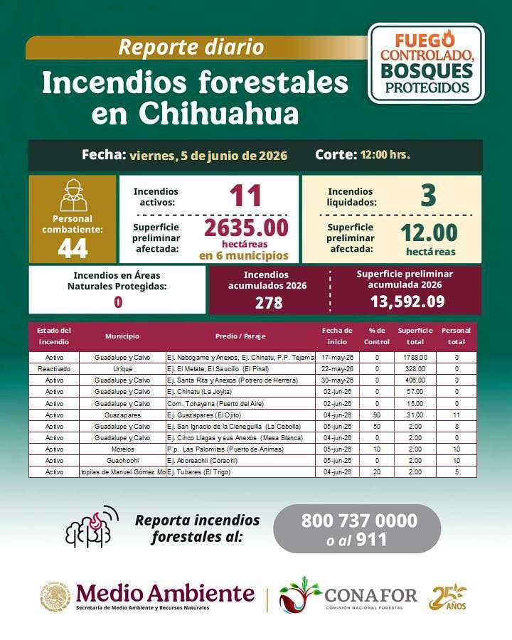 Combaten 43 brigadistas incendios en seis municipios del estado