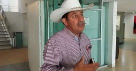 Exige Jaime Torres blindar frontera sur ante plaga del gusano barrenador