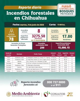 Reportan ocho incendios forestales activos en Chihuahua