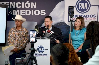 Buscan reforma constitucional para blindar al estado del crimen organizado