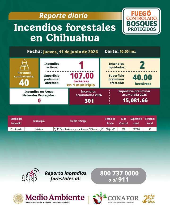 Combaten brigadistas incendio activo en Madera