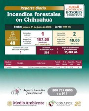 Combaten brigadistas incendio activo en Madera