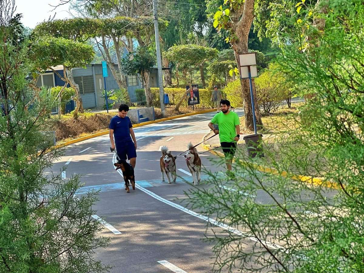 Analizan crear reglamento para espacios pet friendly