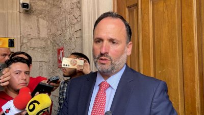 Revisiones por derechos de transmisión corresponden al Impi: De la Peña 